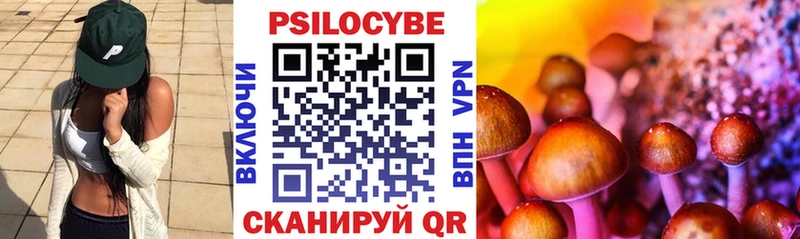 Галлюциногенные грибы ЛСД Рошаль